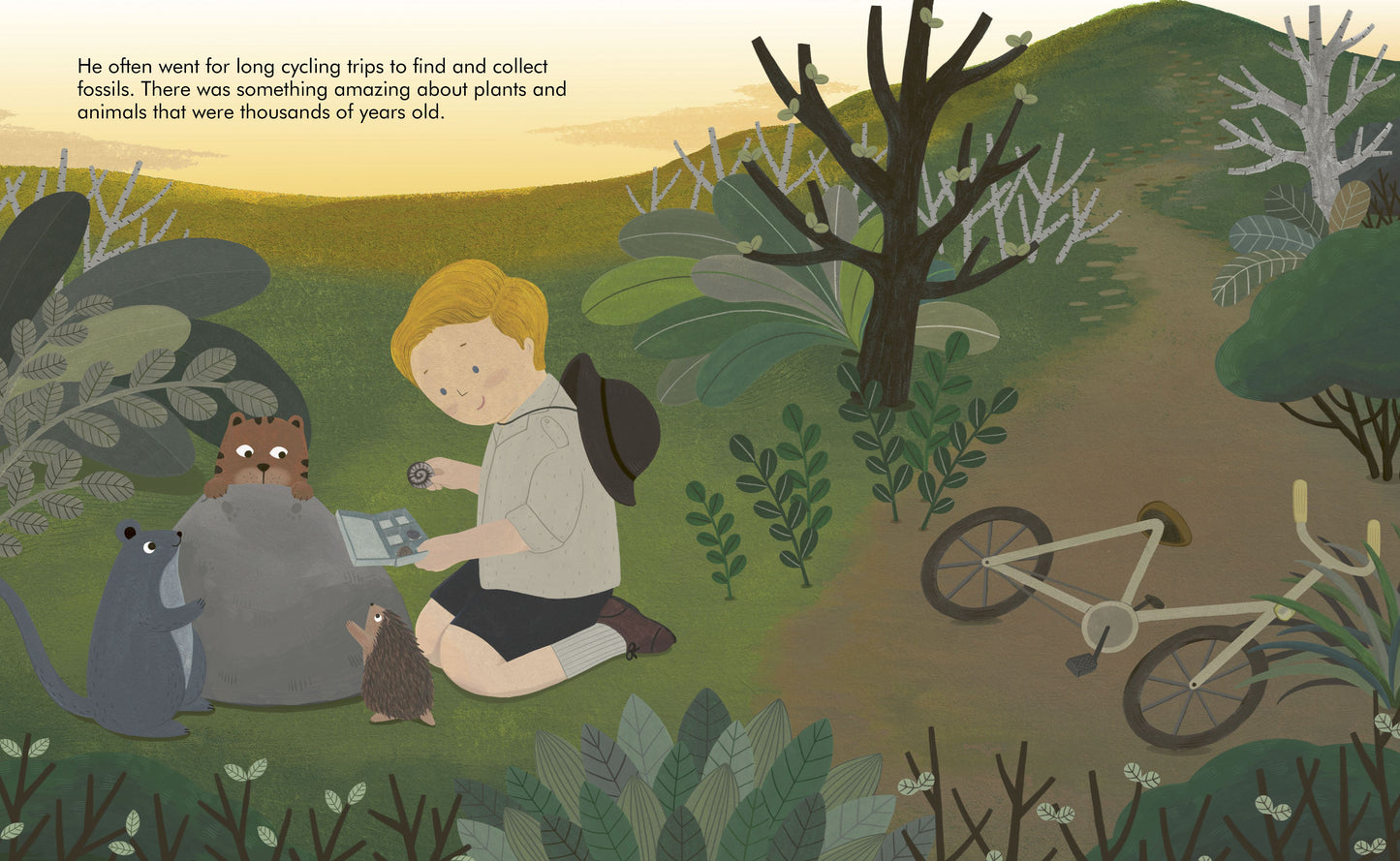 Little People Big Dreams- David Attenborough