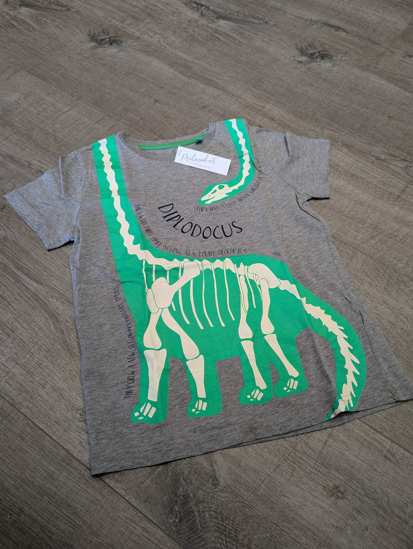 3920705 Mini Boden Dino T-Shirt 7-8yrs