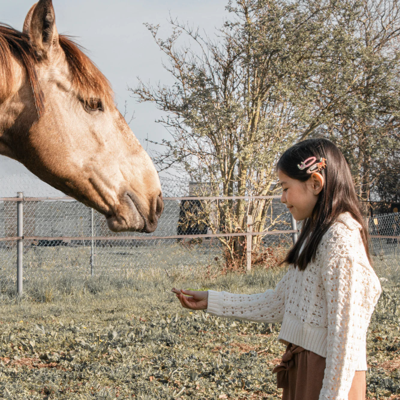 Rockahula Lucky Pony Clips